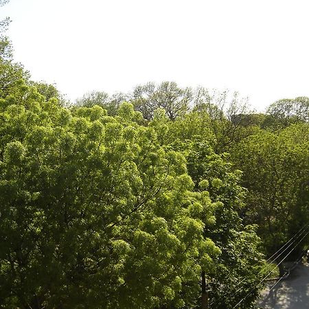 Central Park Family Hotel Kavarna Exteriér fotografie